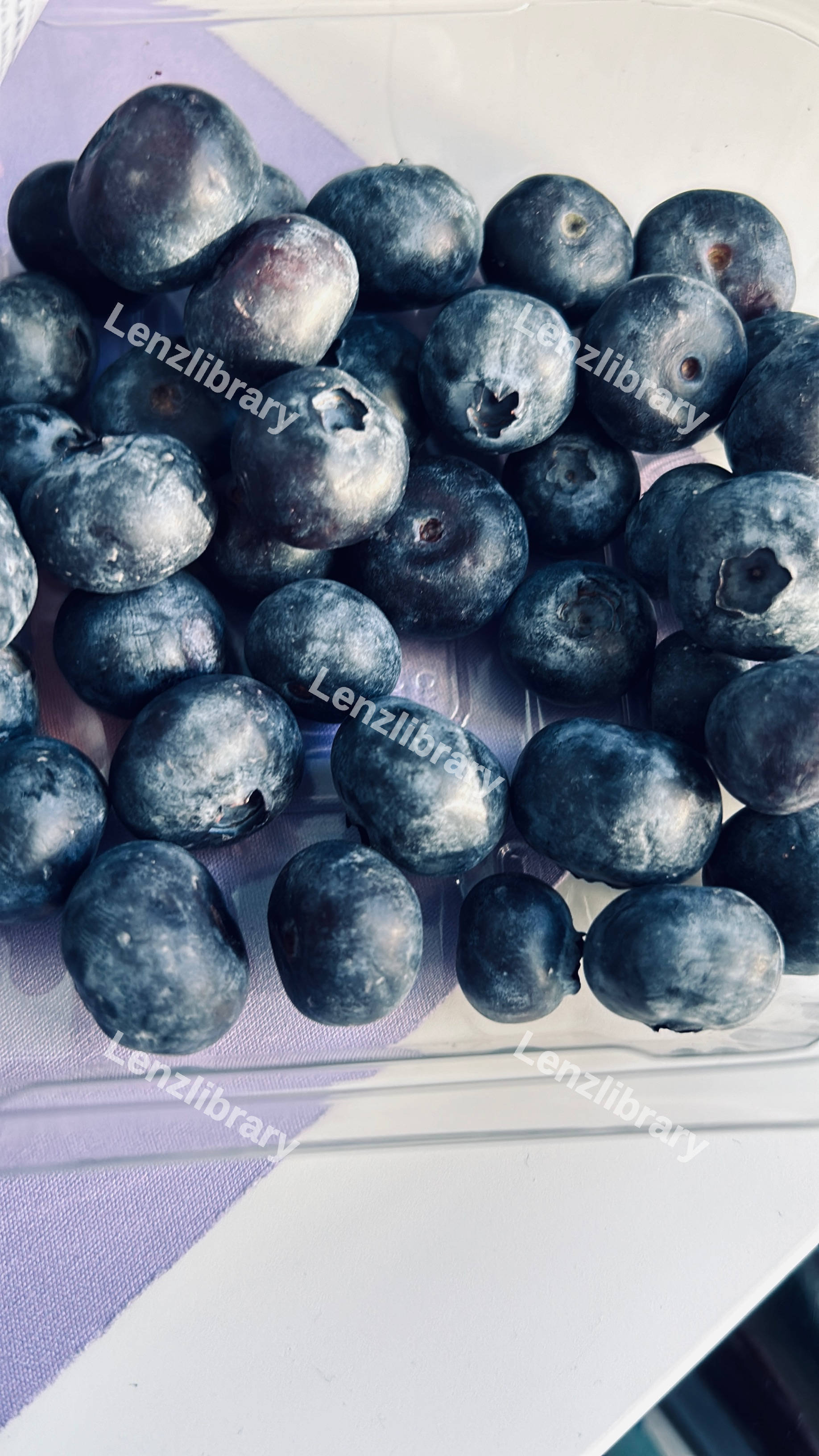 Blueberry